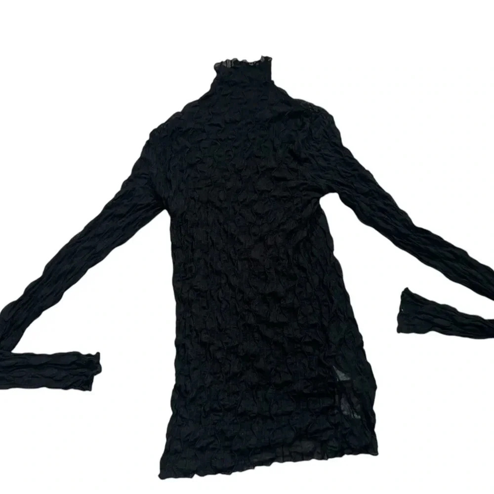 Sheer black turtleneck